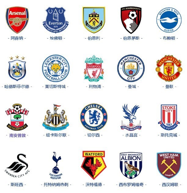 专家合作 专家合作