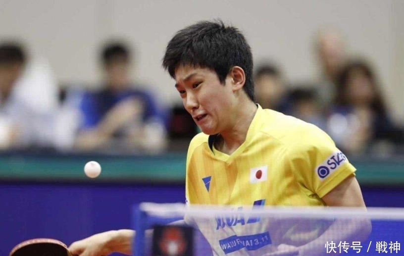 也不要放出 也不要放出