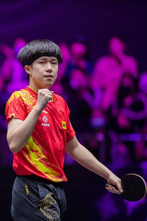 自官方物料 自官方物料